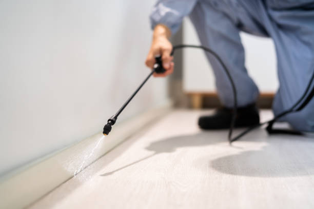 Rodent Entry Point Assessment in Matteson