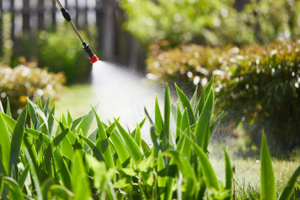 Tamper-Resistant Bait Stations for Rodents in Matteson