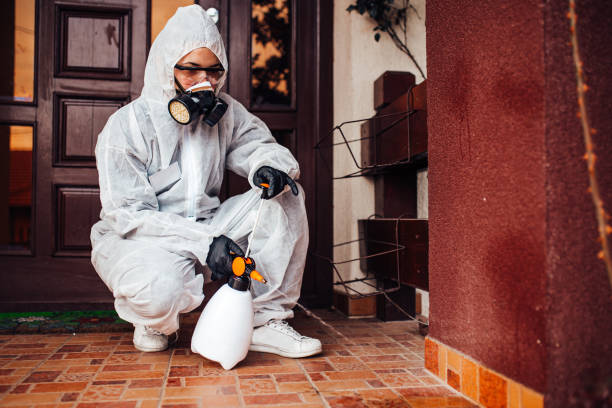 Attic and Crawl Space Rodent Treatment in Matteson
