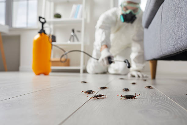 Commercial Rodent Management in Matteson